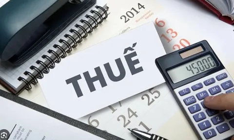 Cơ quan Thuế phát thông báo quan trọng đến hộ kinh doanh, cá nhân cho thuê bất động sản