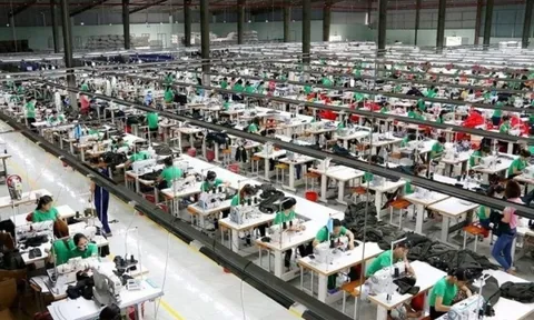 Đây là ngành 'đẻ trứng vàng' của Việt Nam: Sản xuất top 3 thế giới, xuất khẩu chỉ thua một quốc gia, mang về 29 tỷ USD trong năm 2025