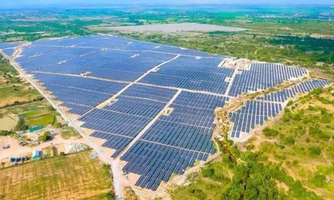 Hòa Phát đề xuất 4 dự án điện mặt trời, tổng công suất gần 500MW tại Dung Quất