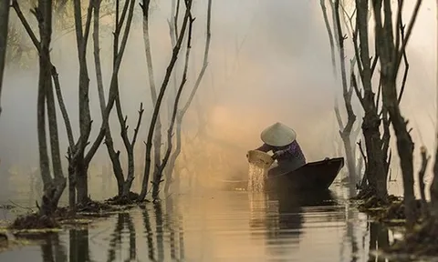 Lập kỷ lục chưa từng có, mặt hàng Việt Nam khiến Trung Quốc thích mê, ồ ạt thu mua