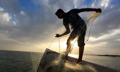 Chuyên gia chứng khoán: Dòng tiền vẫn luân chuyển tích cực, không thiếu cơ hội tìm kiếm lợi nhuận cho nhà đầu tư
