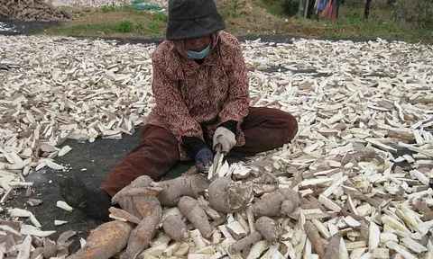 'Vàng trắng' dưới lòng đất mang về hơn tỷ USD cho Việt Nam xuất khẩu top 3 thế giới, nhưng đang đối mặt loạt thách thức lớn