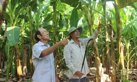 4 xã này ở Đồng Nai tuy đất cằn cỗi nhưng nông dân vẫn ‘đút túi’ lên tới 200 triệu/năm nhờ trồng 'trái cây hạnh phúc', nay đã ‘lên đường’ vươn ra thế giới