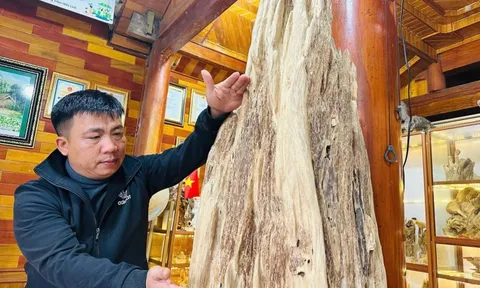 Khối trầm hương tự nhiên quý hiếm bậc nhất ở Hà Tĩnh: Đại gia trả 600 triệu vẫn chưa chịu bán