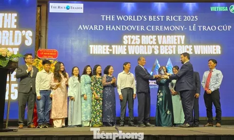 Gạo ST25 của Việt Nam xứng đáng ngon nhất thế giới