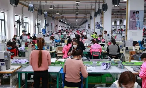 Làm xuyên 9 ngày nghỉ Tết Bính Ngọ, người lao động nhận lương bao nhiêu?