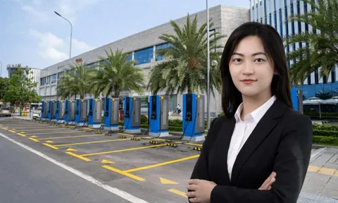 V-GREEN bổ nhiệm Chủ tịch Hội đồng Quản trị mới