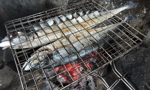 Từng là cá ‘ăn cho qua bữa’, nay đổi phận thành đặc sản dân sành ăn săn lùng, giá lên tới 140.000 đồng/kg