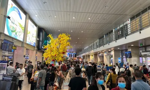 Tăng slot, bổ sung tàu bay phục vụ cao điểm tết