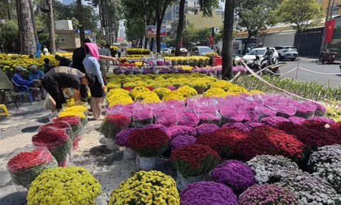 Toàn cảnh các chợ hoa Tết ở TPHCM trước ngày mở cửa chính thức