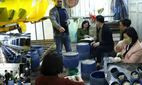 Trong vòng 4 ngày, cơ sở của Trần Quốc Đại sinh năm 1998 sản xuất gần 3 tấn giá đỗ ngâm 'nước kẹo' đựng trong 362 lu nhựa