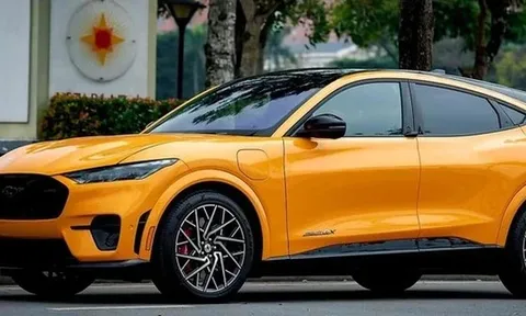 Lý do khiến Ford thông báo thu hồi gấp 434 xe điện tại Việt Nam