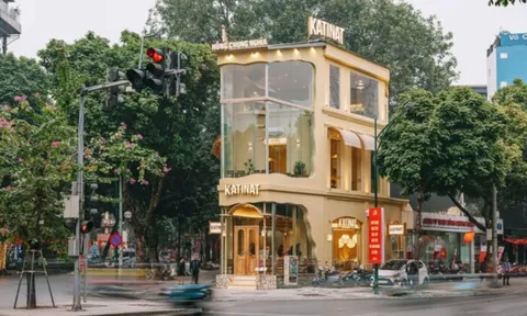 Khi HEAD Honda biến mất sau ánh đèn Katinat: Lời tạm biệt của kỷ nguyên xe xăng?