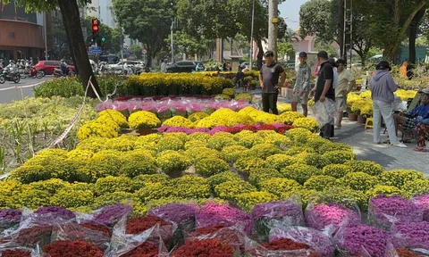 Không còn cảnh hét giá, người dân TPHCM tấp nập đi mua hoa Tết sớm