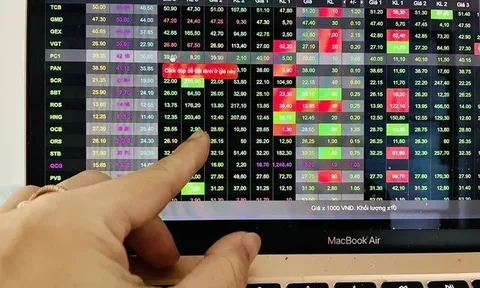 Lịch sự kiện và tin vắn chứng khoán ngày 12/2/2026