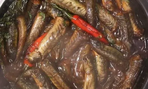 Nhìn như cá kèo nhưng mắt lồi như ếch, giá 200.000 đồng/kg vẫn đắt khách