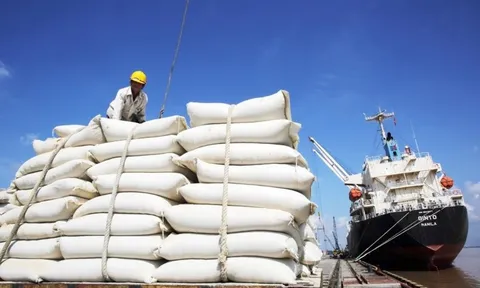 ‘Bạn hàng’ quen của gạo Việt đã tuyên bố tự túc lương thực, trong năm 2026 sẽ xuất khẩu: 1 triệu tấn gạo sẽ đi tới nước nào?