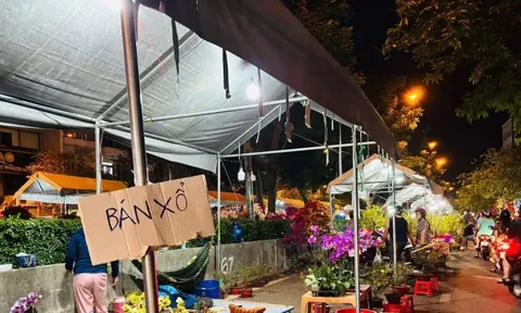 Từ tối 28 Tết, chợ hoa ở TPHCM đồng loạt 'xả hàng' giảm giá 30–70%