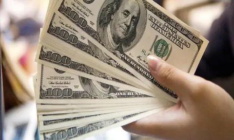 Mùa Tết - mùa cao điểm của dòng kiều hối