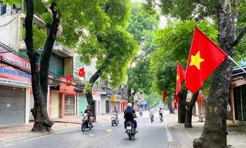 Đúng 10h sáng ngày Mùng 1 Tết Bính Ngọ, CSGT sẽ đồng loạt kiểm tra lỗi này của toàn quốc, người dân biết để chấp hành nghiêm chỉnh, tránh bị phạt lên tới 40 triệu và tước GPLX 24 tháng