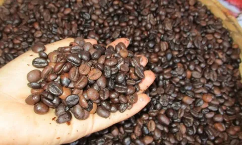 Giá cà phê hôm nay 18-2: "Đổ đèo" mạnh mùng 2 Tết