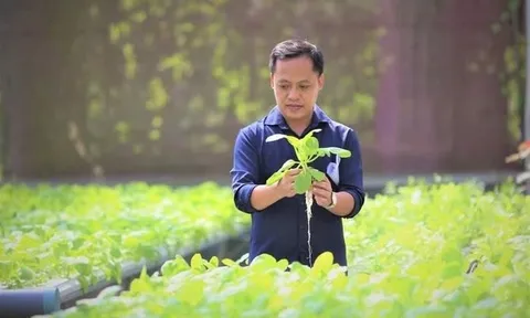 Anh kỹ sư lập trình bỏ phố về quê, xây 'resort 5 sao' cho rau, thu hút 10.000 người đến