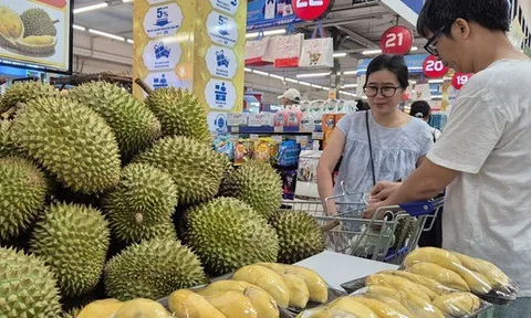 Giá sầu riêng ngược dòng nhiều loại nông sản