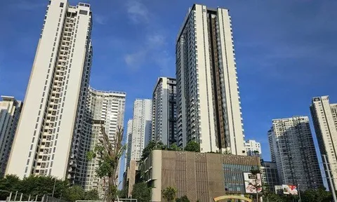 Từ 1-3-2026 chính thức cấp mã định danh điện tử bất động sản và người môi giới bất động sản