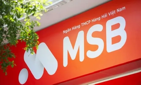 Một cổ đông Nhà nước muốn rút toàn bộ vốn khỏi MSB