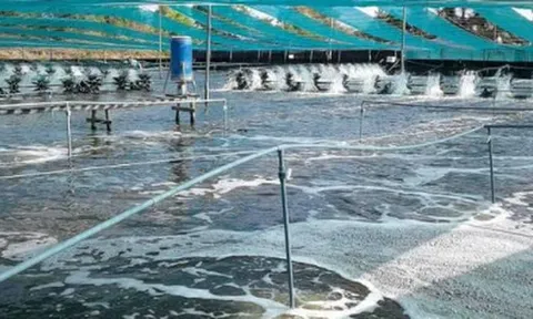 Việt Nam vừa đón tin cực vui từ Mỹ và Trung Quốc