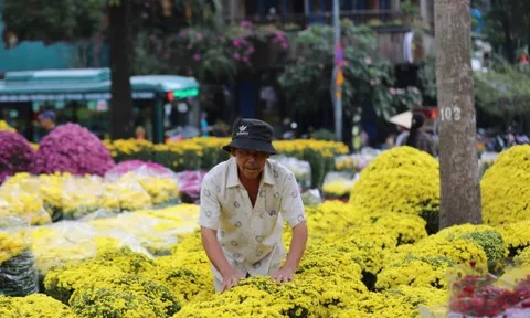 Lượng người đến Hội hoa xuân ở TPHCM giảm mạnh