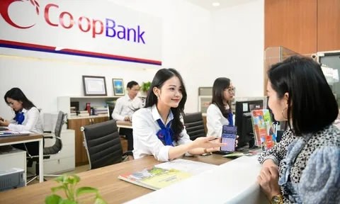 Thanh tra chỉ ra loạt tồn tại tại Co-opBank Chi nhánh Ninh Bình