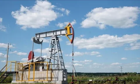 Giá dầu thô bật tăng 7%