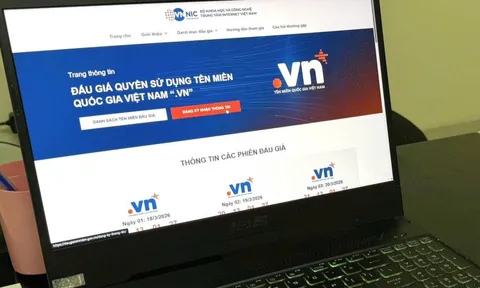 Lần đầu tiêu đấu giá tên miền hiếm 2 ký tự quốc gia “.vn”