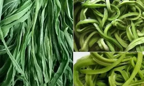 4 thứ rau 'quý như vàng' của Việt Nam, có tiền chưa chắc đã mua được: Có loại chạm mốc cả triệu đồng/kg