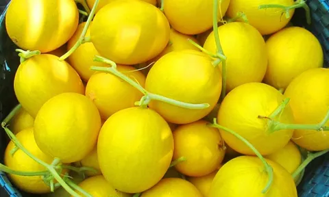 Từ cái tên đã thấy 'vàng ròng', tưởng chỉ dành cho giới thượng lưu: Loại quả này từng lạ lẫm, nay thành 'hoàng hậu' nằm phổ biến trên kệ của các siêu thị