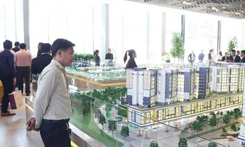 Gỡ vướng cấp mã định danh bất động sản