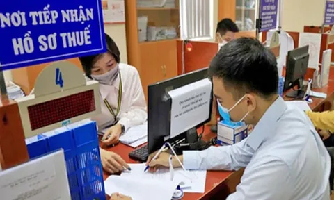 Thuế Hà Nội phát thông báo quan trọng đến doanh nghiệp, tổ chức, cá nhân và hộ kinh doanh