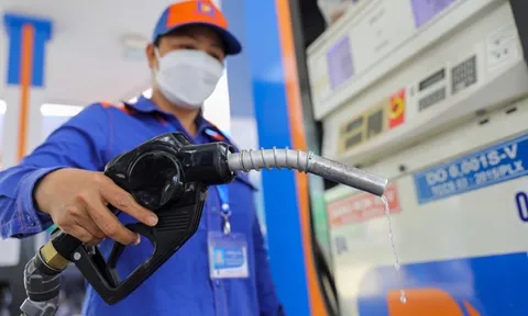 Chính phủ cho phép Petrovietnam nhập khẩu dầu thô, nguyên liệu sản xuất xăng dầu