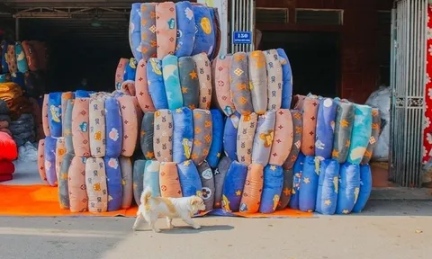 Bất ngờ trước sự giàu có của người dân làng nghề được xem là 'thủ phủ' sản xuất chăn ga gối đệm lớn nhất miền Bắc nằm ngay tại Hà Nội