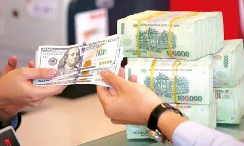 Chuyên gia dự báo tỷ giá USD/VND và lãi suất trong bối cảnh rủi ro địa chính trị leo thang