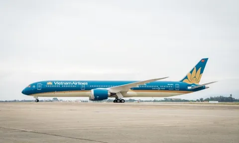 Cục Hàng không kiến nghị khẩn: Giảm thuế, phí và nới trần giá vé để 'cứu' các hãng bay