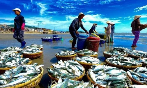 'Mỏ vàng dưới nước' của Việt Nam kiếm 1,7 tỷ USD chỉ sau 2 tháng, thị trường nào đang mua mạnh nhất?