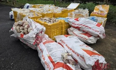 2,6 tấn nội tạng, xương ống, mỡ động vật không rõ nguồn gốc bị phát hiện trên cao tốc Bắc - Nam