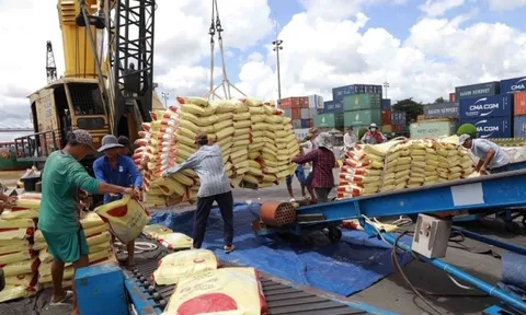 Rủi ro đứt gãy chuỗi cung ứng, ngành hàng xuất khẩu trọng điểm đối diện nguy cơ thiệt hại lên tới 8 tỷ USD