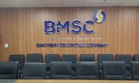 Chứng khoán Bảo Minh dự kiến niêm yết gần 204 triệu cổ phiếu BMS trên HoSE