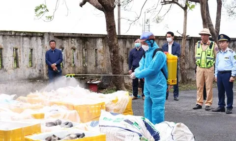 Ngăn chặn gần 2,7 tấn nội tạng động vật không rõ nguồn gốc “tuồn” ra thị trường