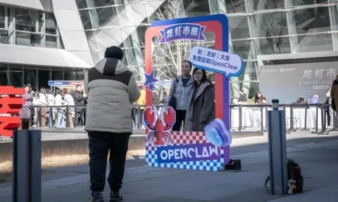 Cơn sốt ‘nuôi tôm hùm’ làm việc thay người