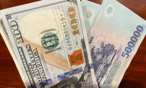 Tỷ giá USD hôm nay 13/3: Đồng bạc xanh tăng trở lại, USD trong ngân hàng nhích lên