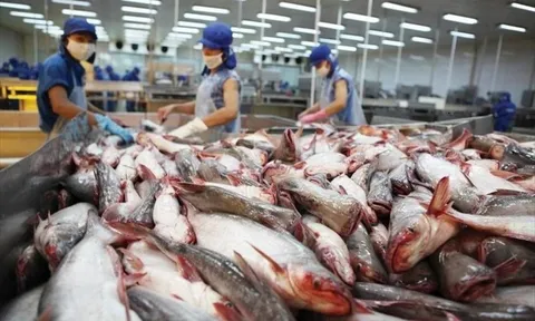 Một doanh nghiệp sàn HOSE dự kiến chi tới 945 tỷ đồng mua lại cổ phiếu quỹ